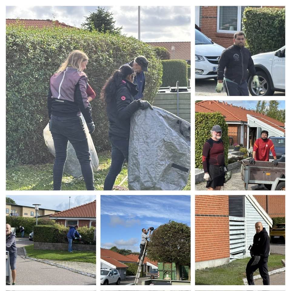 Billedcollage fra en fælles havedag på Langørvej